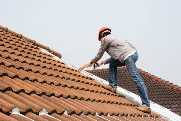 Professional Roofing services in Hillsboro, MO
