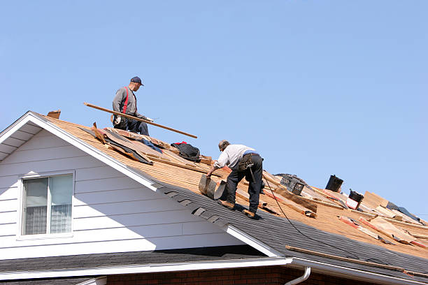 Best Skylight Installation and Repair  in Hillsboro, MO