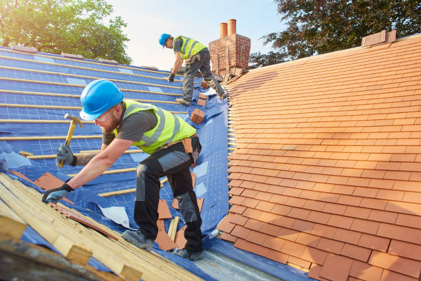Best Roof Insulation Installation  in Hillsboro, MO